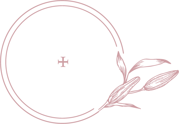 Skin + Tonix Logo