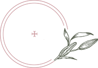 Skin + Tonix logo