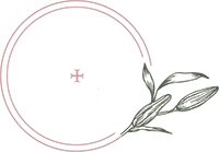 Skin + Tonix logo